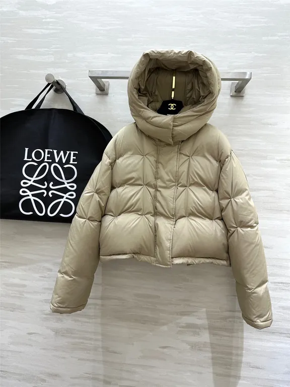 Loewe hooded down jacket